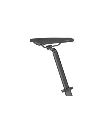 Bicicleta Eléctrica Plegable BERGAMONT PAUL-E EQ EDITION