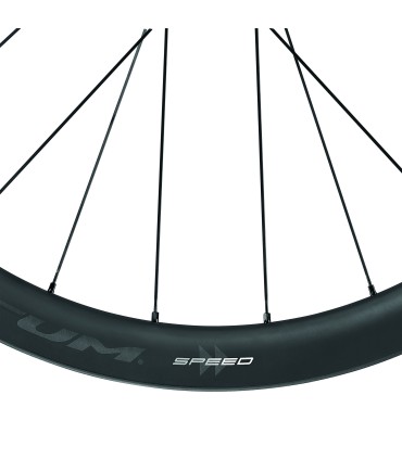 Juego de Ruedas FULCRUM SPEED 42 DB C23 AFS DISC N3W CAMPAGNOLO